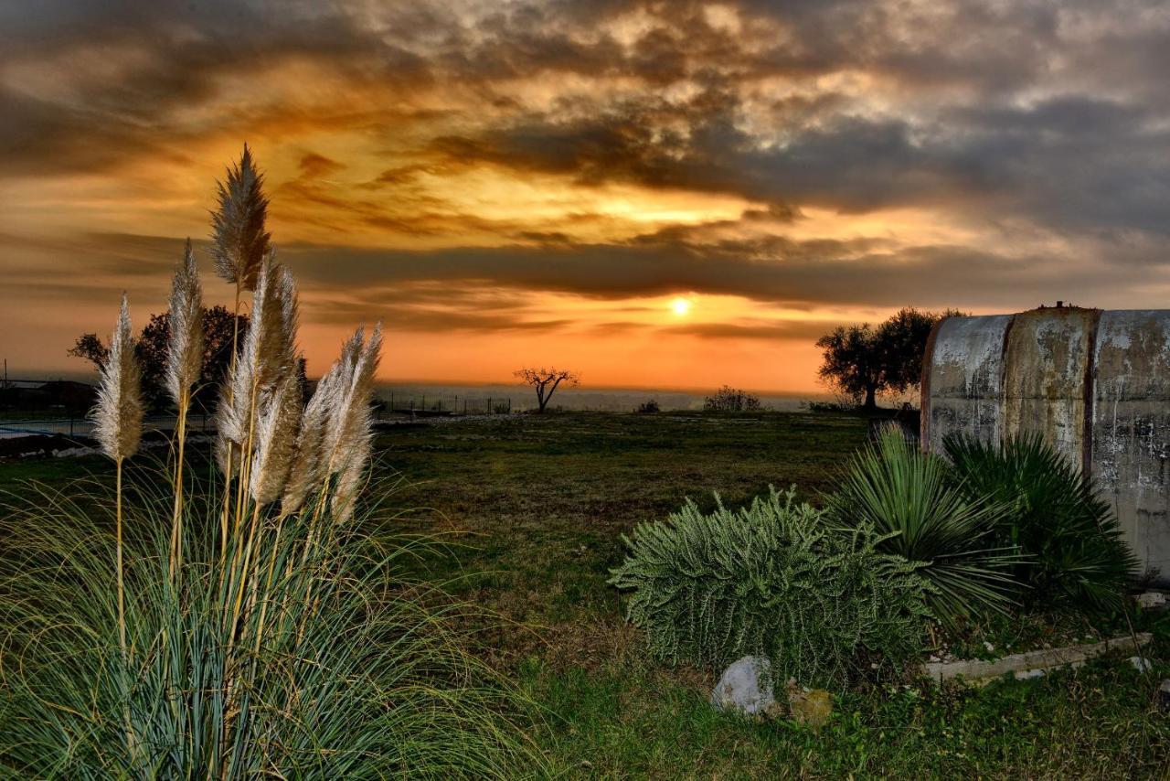 Agriturismo La Guarda Picedo Екстериор снимка
