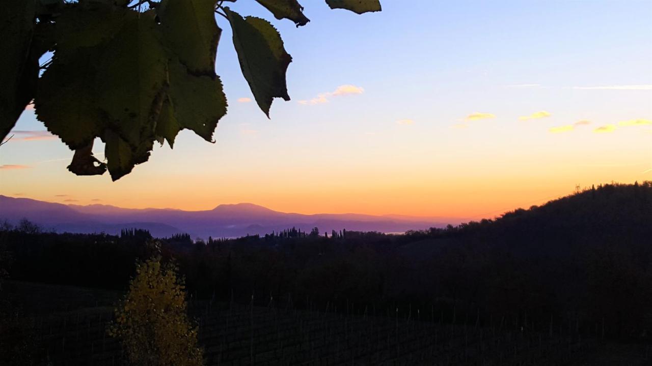 Agriturismo La Guarda Picedo Екстериор снимка