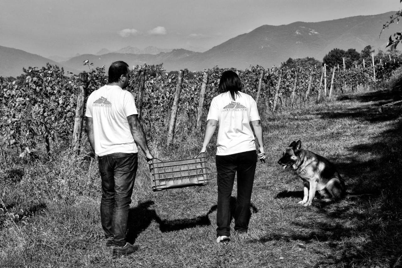 Agriturismo La Guarda Picedo Екстериор снимка