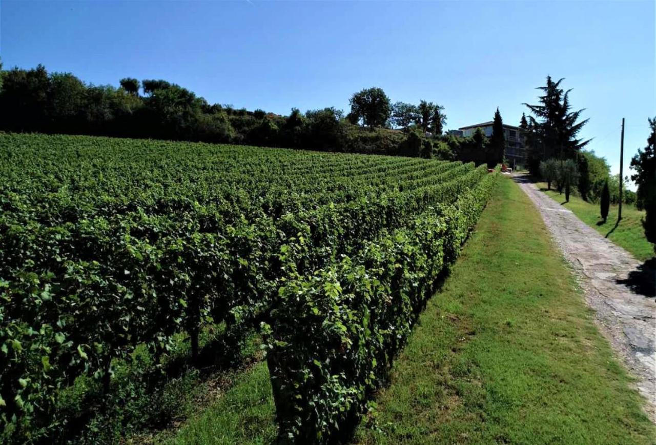 Agriturismo La Guarda Picedo Екстериор снимка