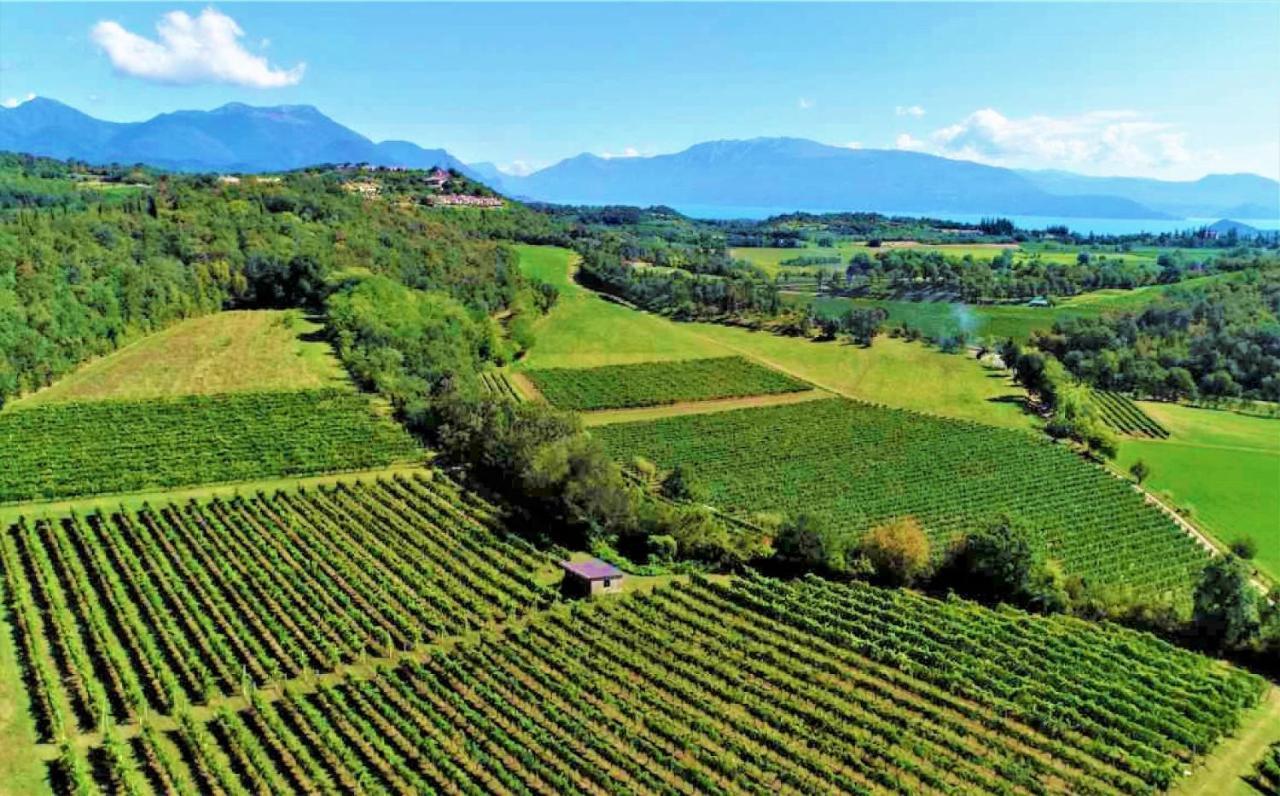 Agriturismo La Guarda Picedo Екстериор снимка